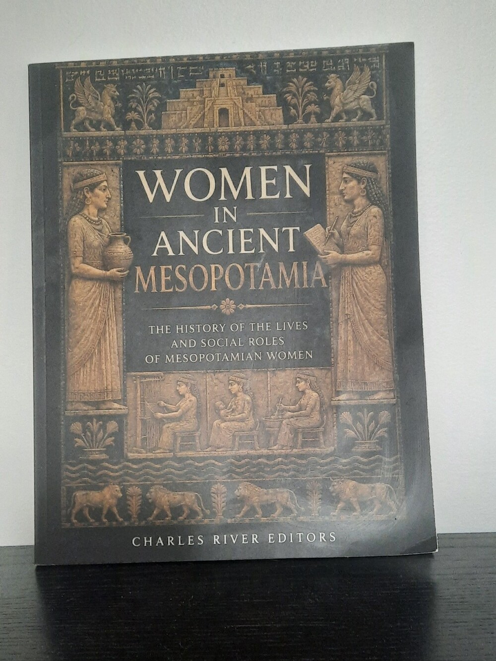 Women in Ancient Mesopotamia — Illustrated History Paperback